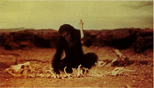 2001-ape